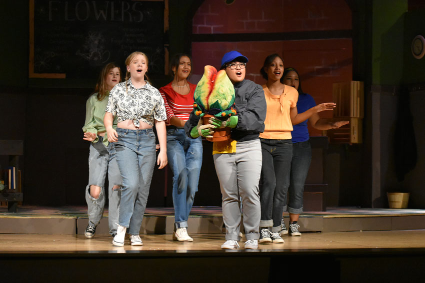 Cast of “Little Shop” on stage