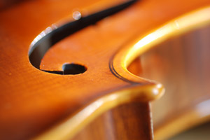 LCS Strings Selected to Regional Orchestra