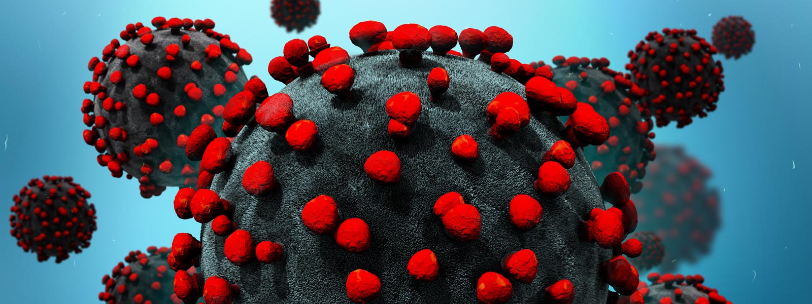 Close-up of coronavirus