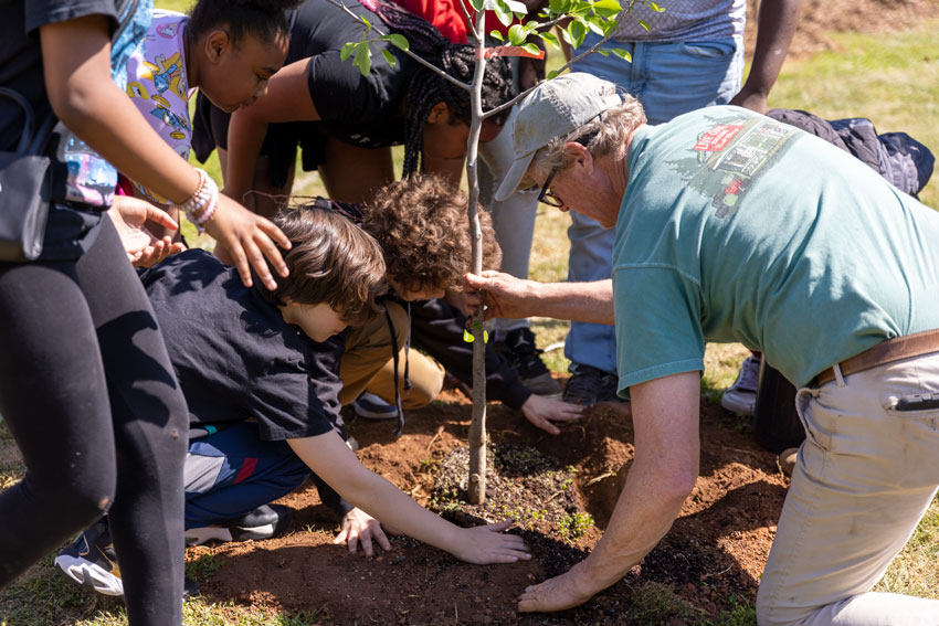 Group of students helping staff member plant a tree