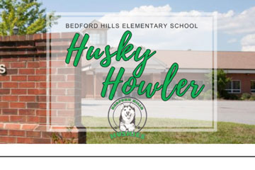 Husky Howler