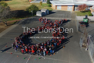 The Lions Den