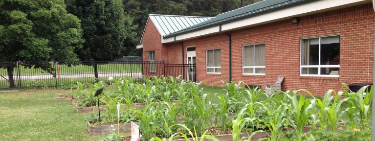 BHS volunteer maintained garden