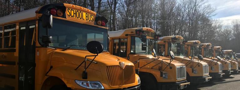 Parked buses lined up